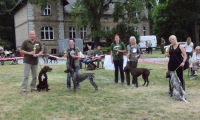 V 1 Hunde