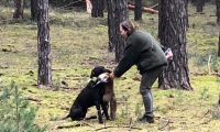 IMG-20180312-WA0029