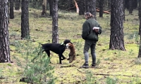 IMG-20180312-WA0030