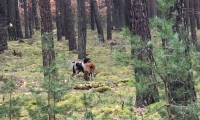 IMG-20180312-WA0032