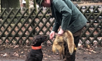 IMG-20180312-WA0040
