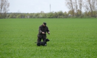 Paul Porsche aus dem Königswald