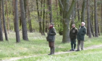 Richtergruppe