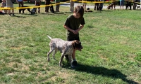 IMG-20190630-WA0021