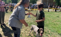 IMG-20190630-WA0025